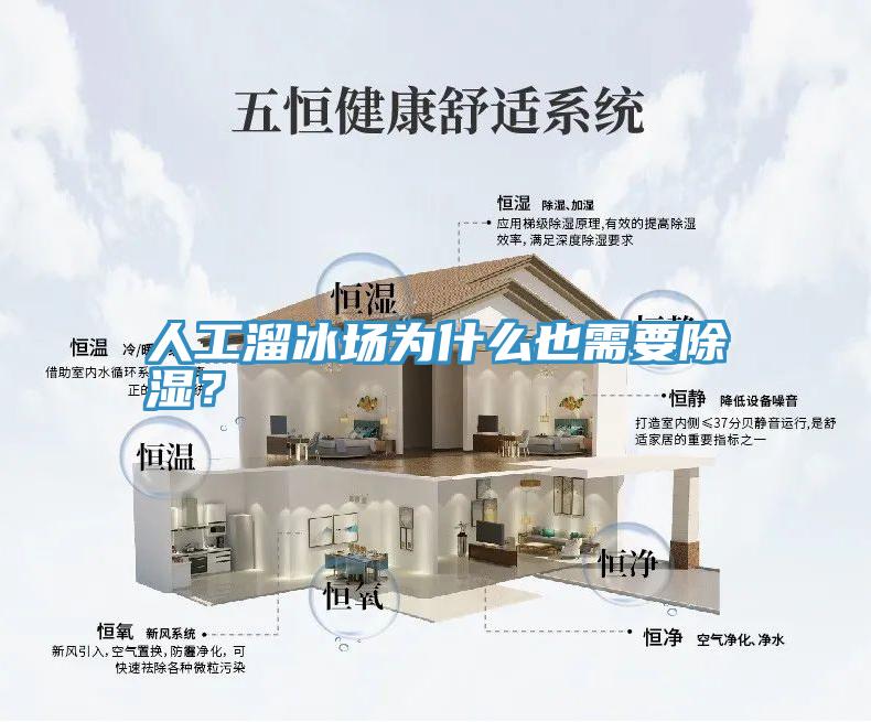 人工溜冰場為什麽也需要除濕？