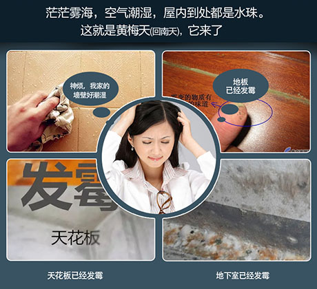 家庭別墅的地下室、衛生間、儲物室等該如何除濕？