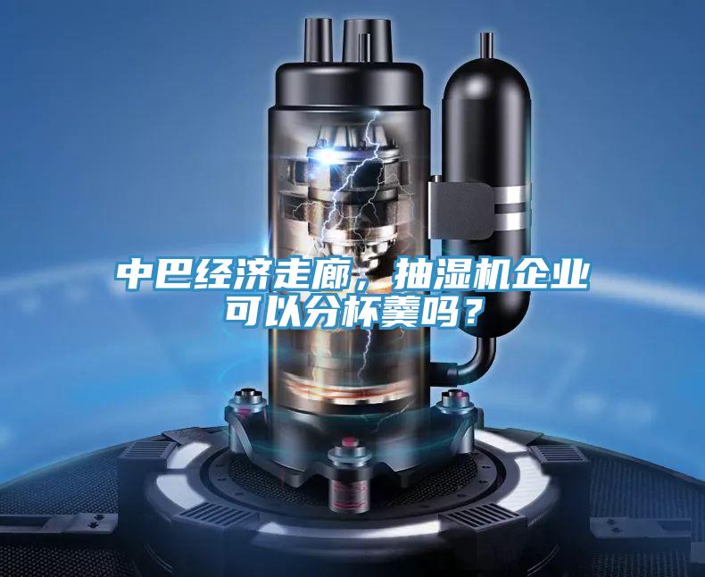 中巴經濟走廊，抽濕機企業可以分杯羹嗎？