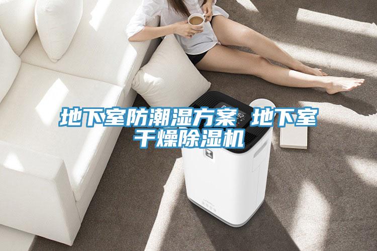 地下室防潮濕方案 地下室幹燥好色先生在线播放