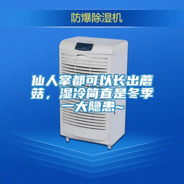 仙人掌都可以長出蘑菇，濕冷簡直是冬季一大隱患~