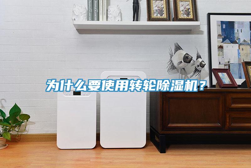 為什麽要使用轉輪好色先生在线播放？