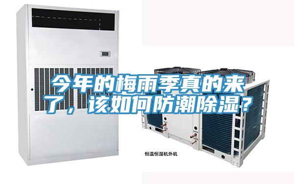 今年的梅雨季真的來了，該如何防潮除濕？