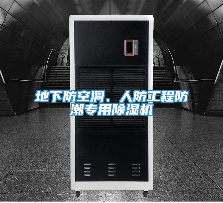 地下防空洞、人防工程防潮專用好色先生在线播放