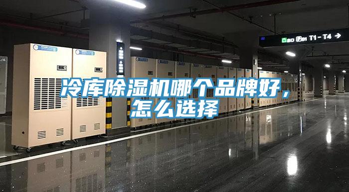 冷庫好色先生在线播放哪個品牌好，怎麽選擇