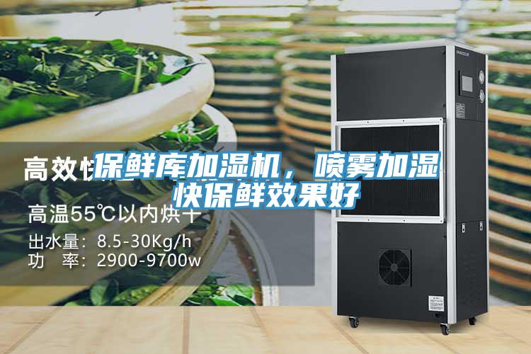 保鮮庫加濕機，噴霧加濕快保鮮效果好