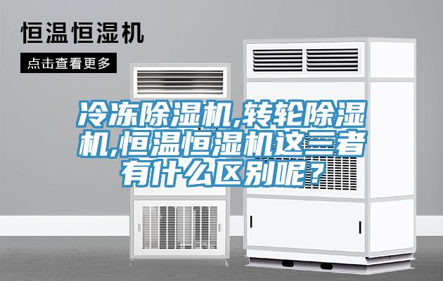 冷凍好色先生在线播放,轉輪好色先生在线播放,恒溫恒濕機這三者有什麽區別呢？