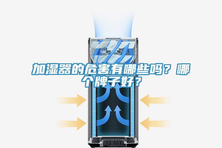 加濕器的危害有哪些嗎？哪個牌子好？