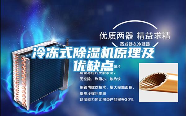 冷凍式好色先生在线播放原理及優缺點