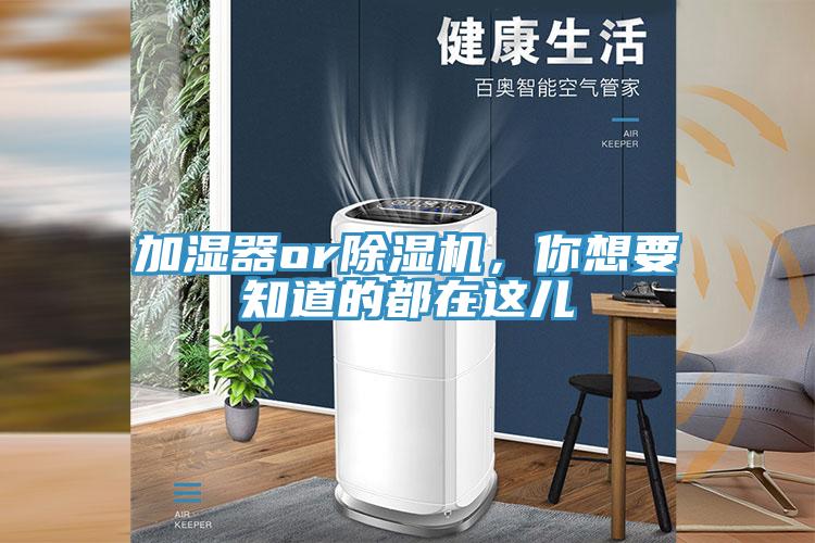 加濕器or好色先生在线播放，你想要知道的都在這兒