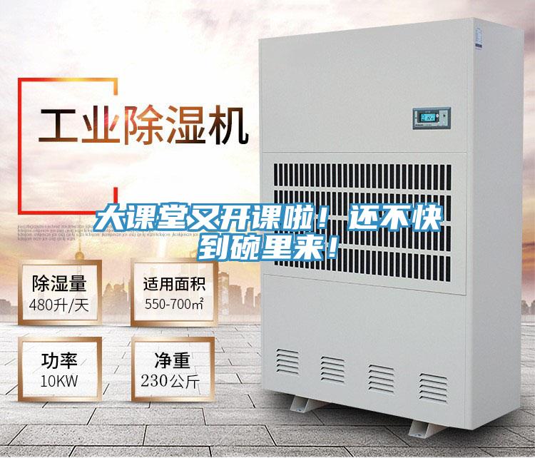 大課堂又開課啦!還不快到碗裏來!