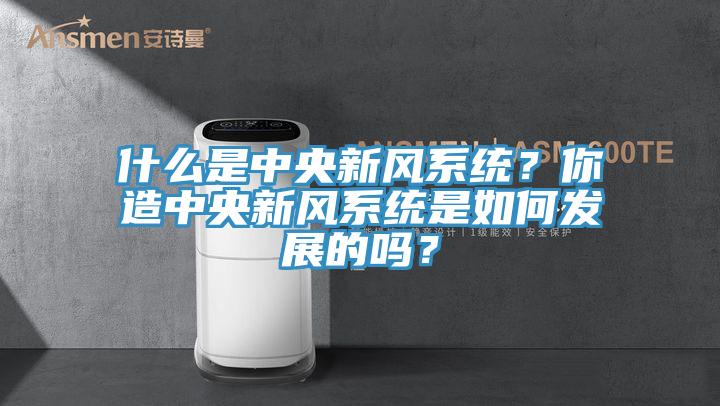 什麽是中央新風係統？你造中央新風係統是如何發展的嗎？