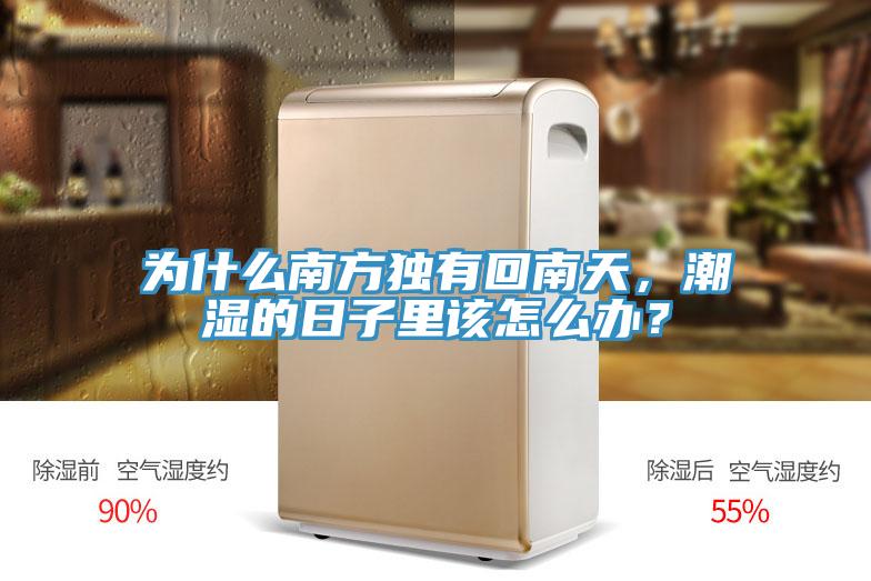 為什麽南方獨有回南天，潮濕的日子裏該怎麽辦？