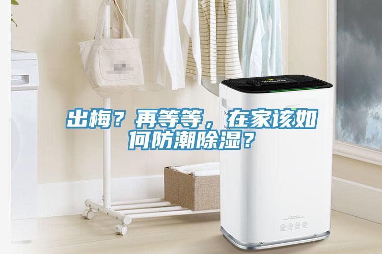 出梅？再等等，在家該如何防潮除濕？