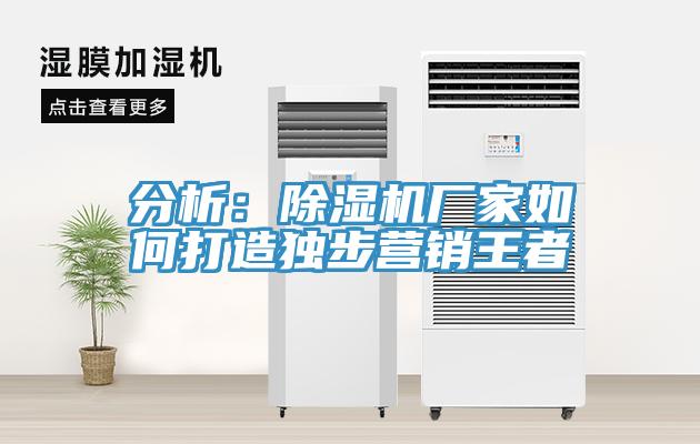 分析：好色先生在线播放廠家如何打造獨步營銷王者