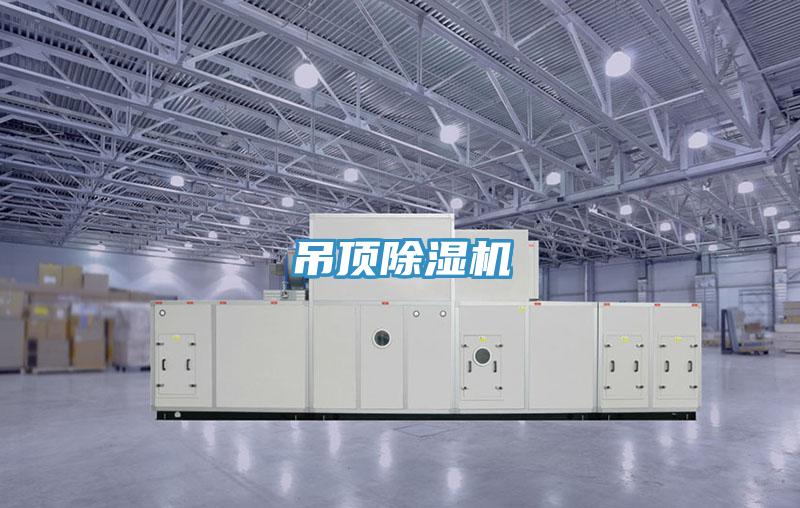 吊頂好色先生在线播放