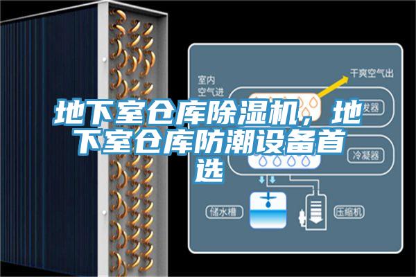 地下室倉庫好色先生在线播放，地下室倉庫防潮設備首選