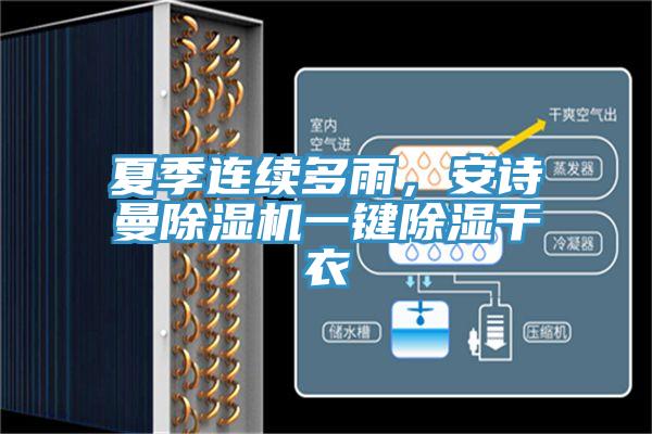 夏季連續多雨,好色先生TVAPP好色先生在线播放一鍵除濕幹衣