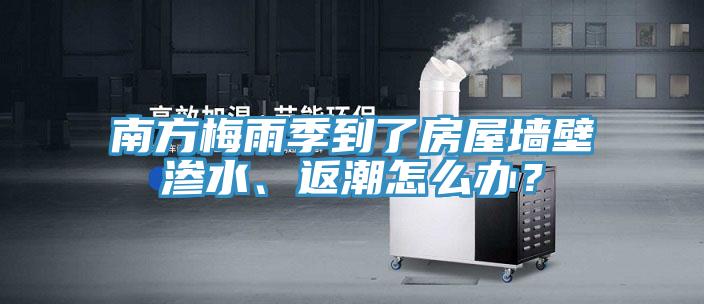 南方梅雨季到了房屋牆壁滲水、返潮怎麽辦？