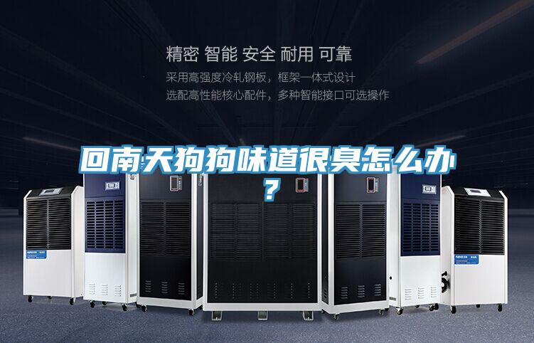 回南天狗狗味道很臭怎麽辦？
