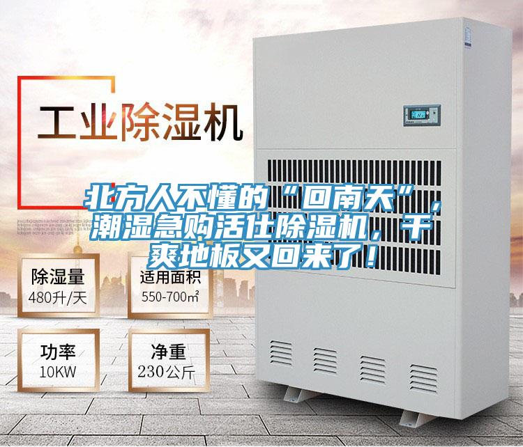 北方人不懂的“回南天”，潮濕急購活仕好色先生在线播放，幹爽地板又回來了！