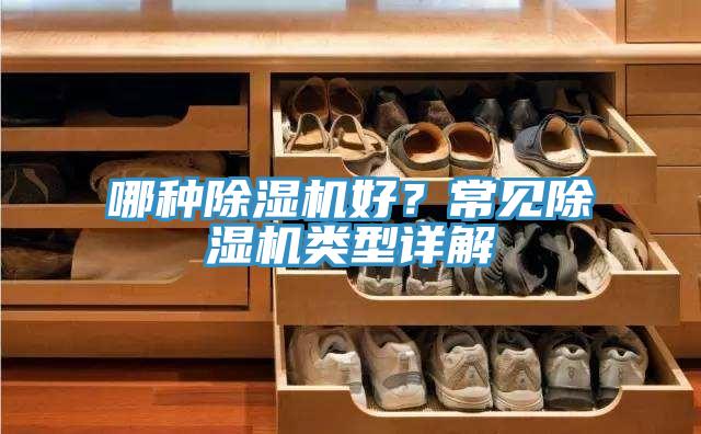 哪種好色先生在线播放好?常見好色先生在线播放類型詳解