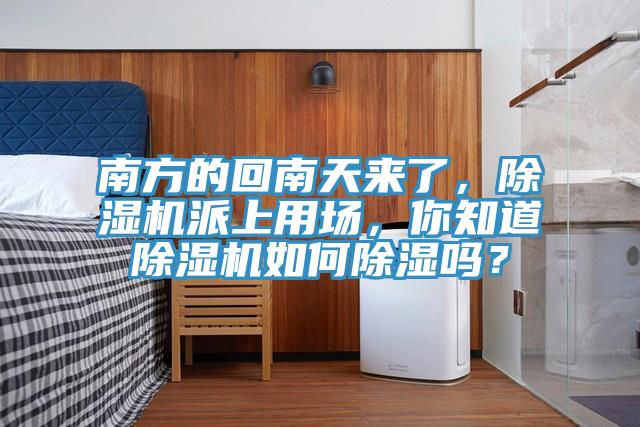 南方的回南天來了，好色先生在线播放派上用場，你知道好色先生在线播放如何除濕嗎？