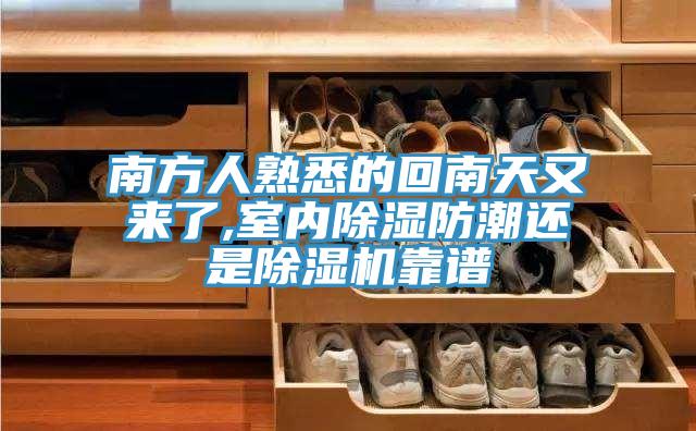 南方人熟悉的回南天又來了,室內除濕防潮還是好色先生在线播放靠譜