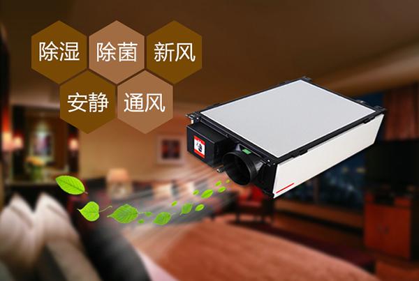 雙十一剛過，雙十二如約而至，濕冷還受得了嗎？