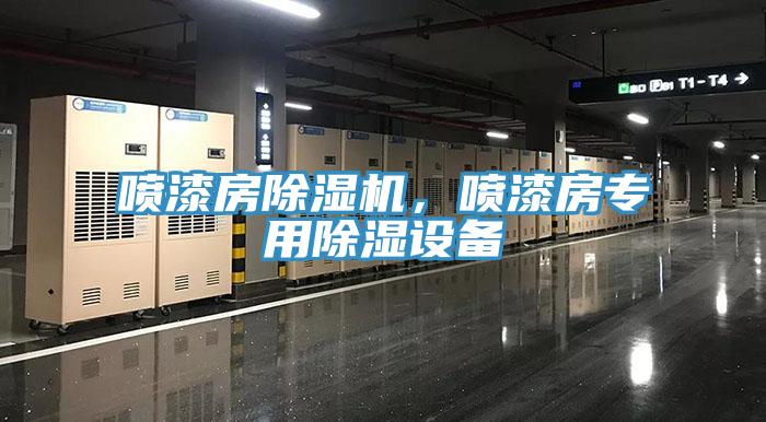 噴漆房好色先生在线播放,噴漆房專用除濕設備