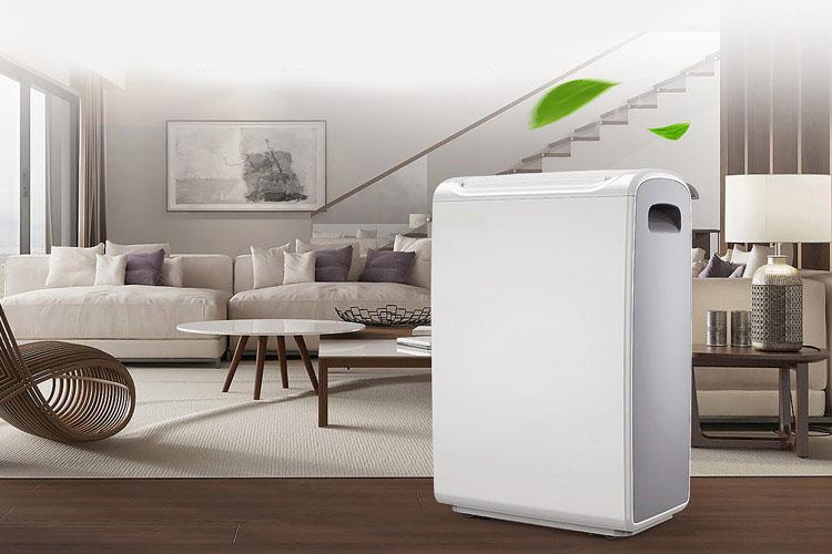 去甲醛用新風好色先生在线播放