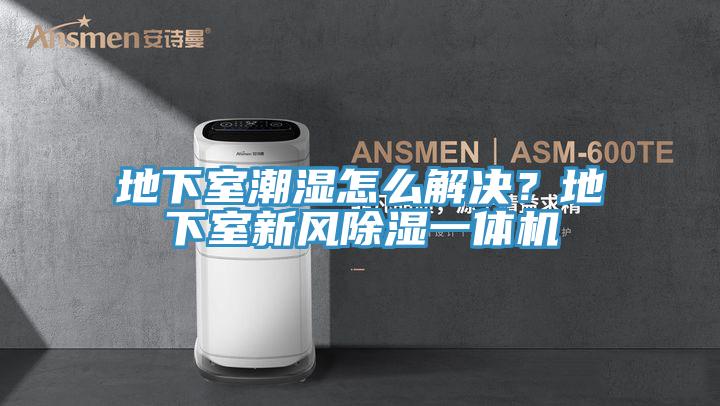 地下室潮濕怎麽解決？地下室新風除濕一體機