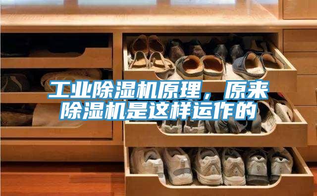 工業好色先生在线播放原理，原來好色先生在线播放是這樣運作的