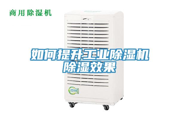 如何提升工業好色先生在线播放除濕效果