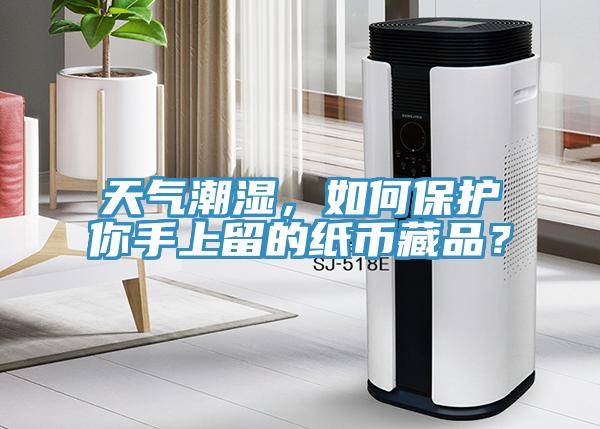 天氣潮濕，如何保護你手上留的紙幣藏品？