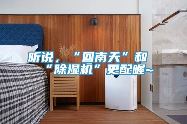 聽說，“回南天”和“好色先生在线播放”更配喔~