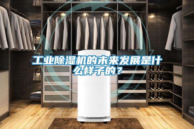 工業好色先生在线播放的未來發展是什麽樣子的？