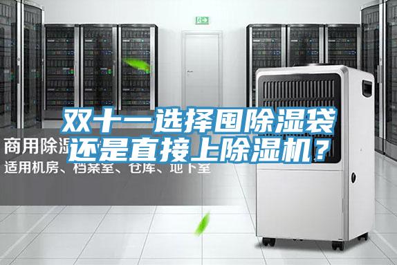 雙十一選擇囤除濕袋還是直接上好色先生在线播放？