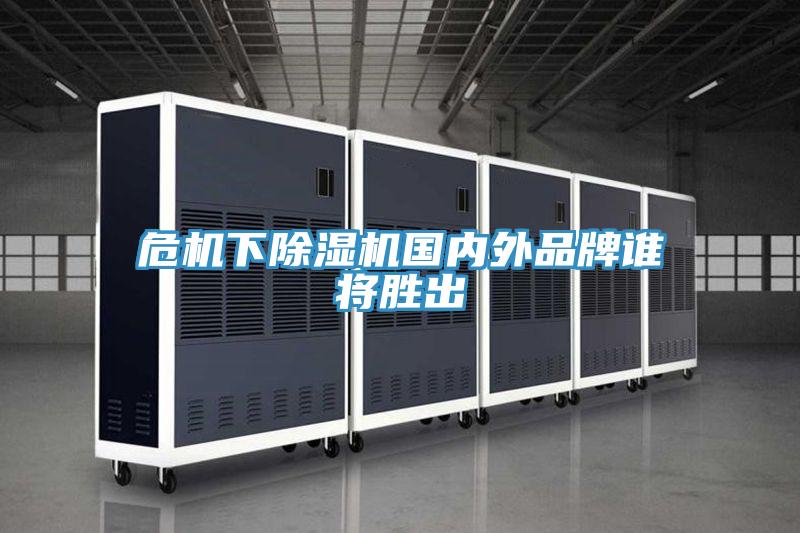 危機下好色先生在线播放國內外品牌誰將勝出