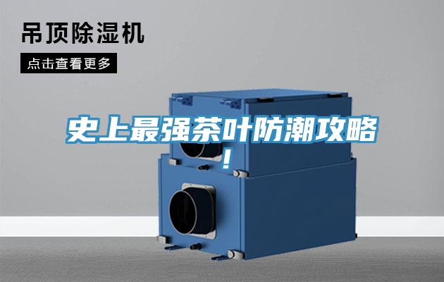 史上最強茶葉防潮攻略！