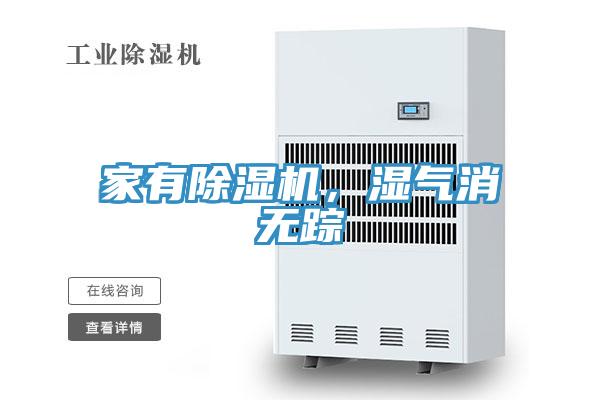 家有好色先生在线播放，濕氣消無蹤