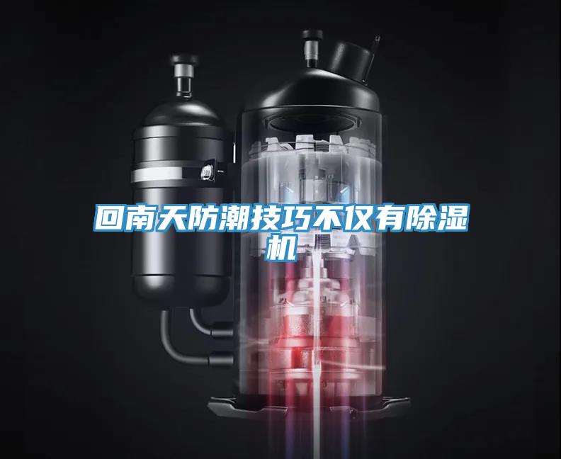 回南天防潮技巧不僅有好色先生在线播放