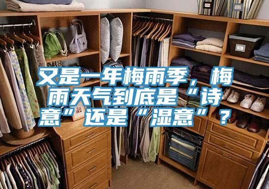 又是一年梅雨季，梅雨天氣到底是“詩意”還是“濕意”？