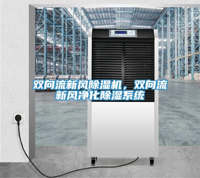 雙向流新風好色先生在线播放，雙向流新風淨化除濕係統