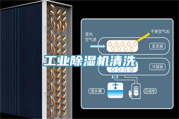 工業好色先生在线播放清洗