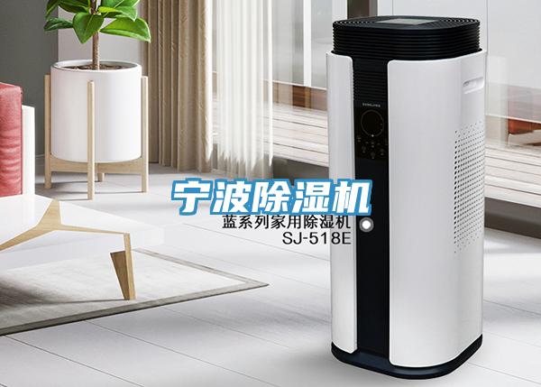 寧波好色先生在线播放