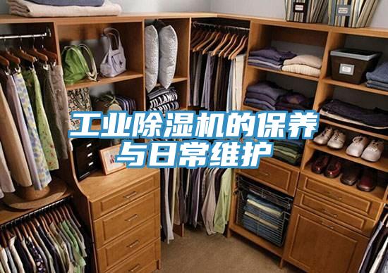 工業好色先生在线播放的保養與日常維護