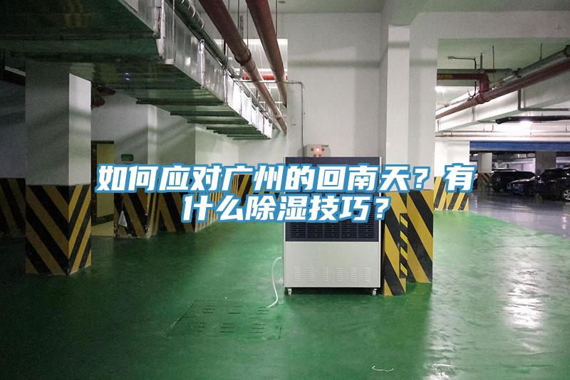 如何應對廣州的回南天？有什麽除濕技巧？