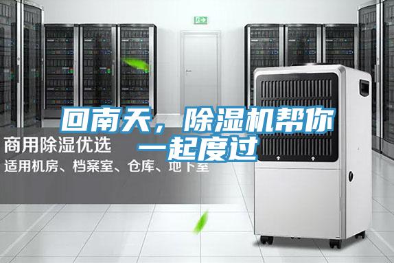 回南天，好色先生在线播放幫你一起度過