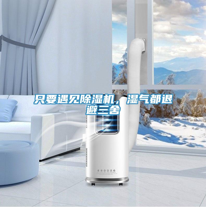 隻要遇見好色先生在线播放，濕氣都退避三舍